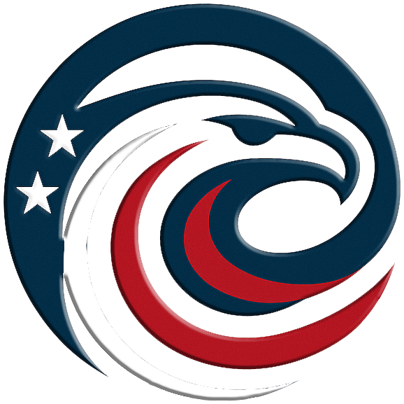 Veterans Digital Agility - Patriotic Eagle Head Logo