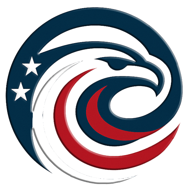 Veterans Digital Agility - Patriotic Eagle Head Logo